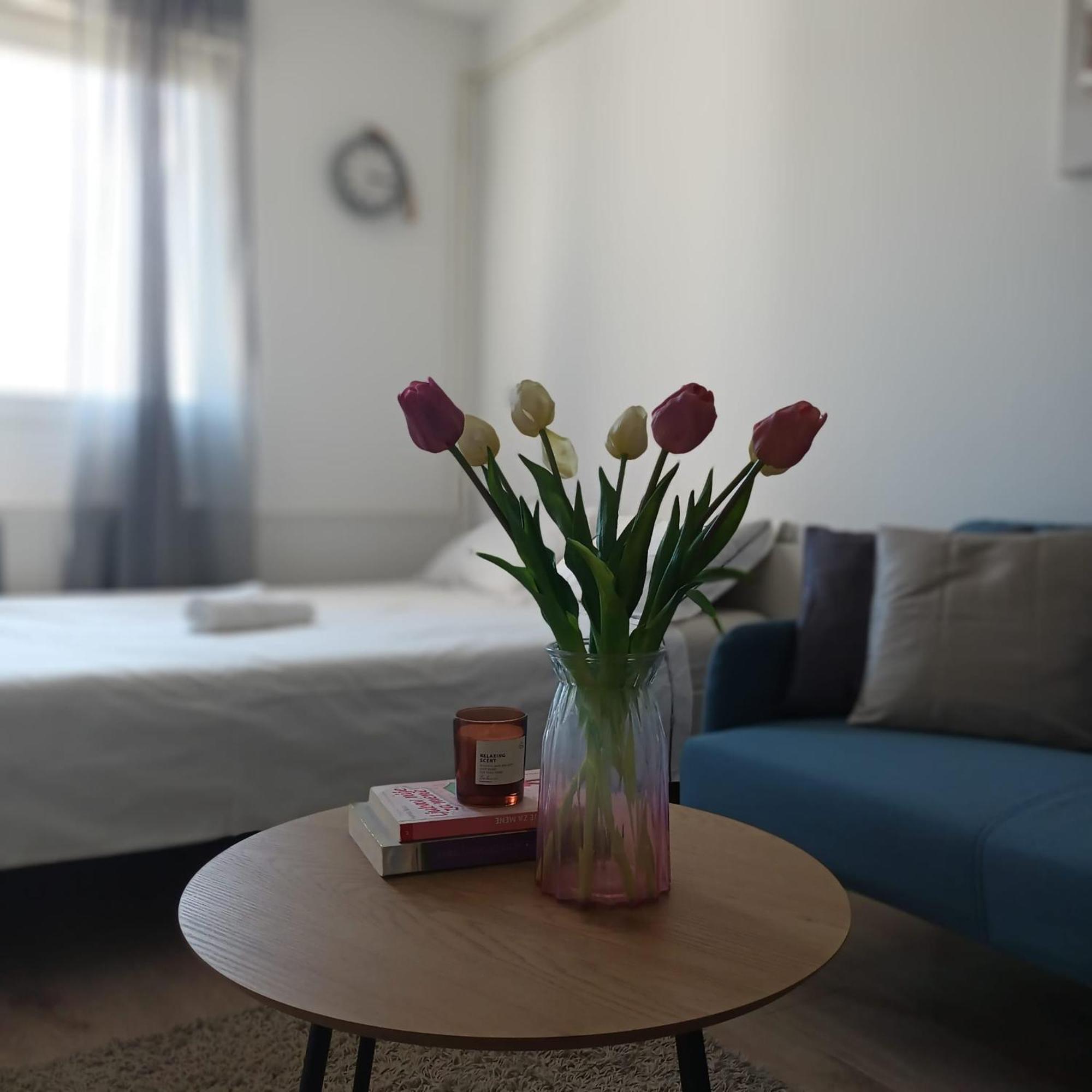Modern Studio Near City Center Zagreb Exterior photo